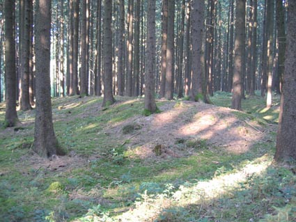 Die keltische Viereckschanze von Möckenlohe